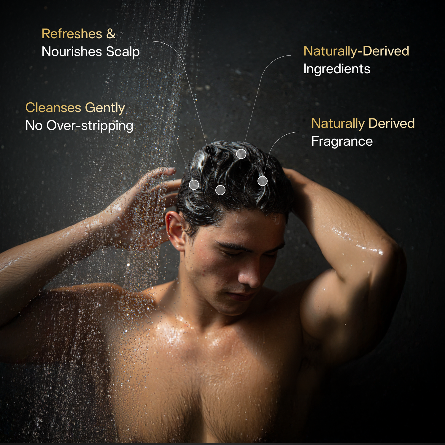 Shampoo - Image 2